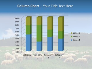 A Herd Of Sheep Grazing On A Lush Green Field PowerPoint Template