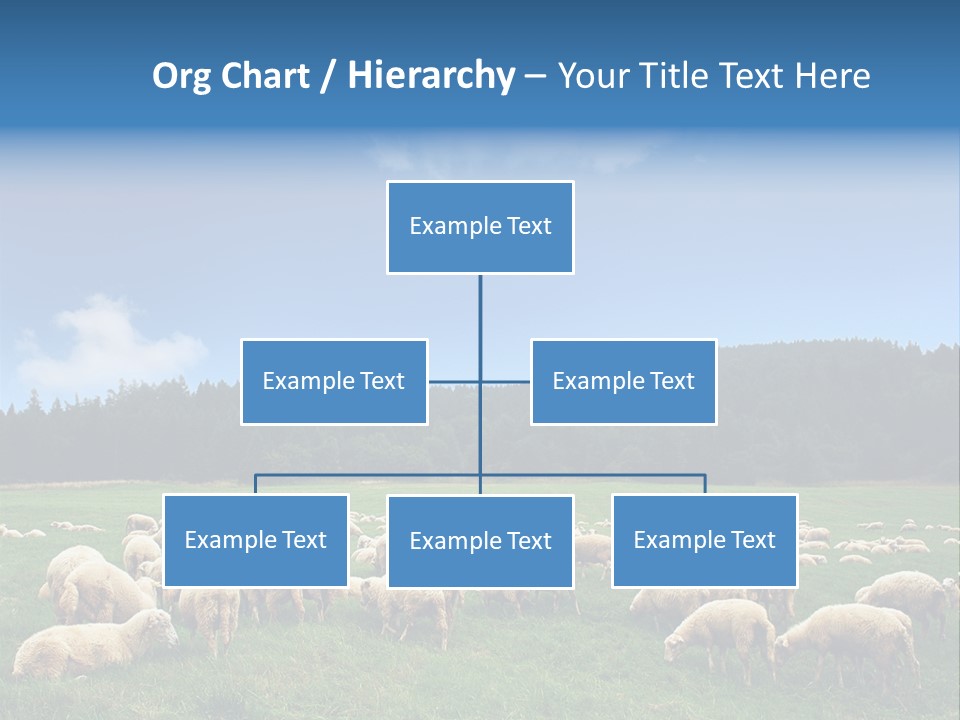 A Herd Of Sheep Grazing On A Lush Green Field PowerPoint Template