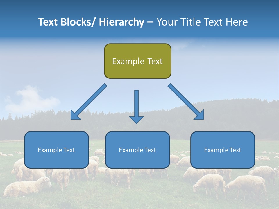 A Herd Of Sheep Grazing On A Lush Green Field PowerPoint Template