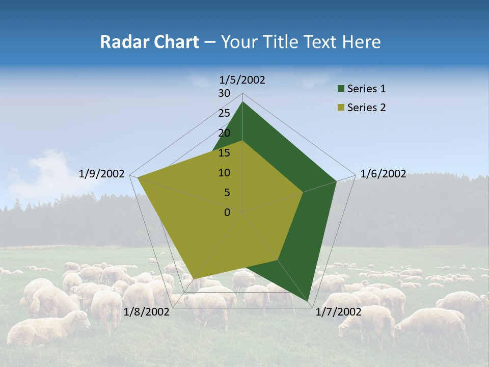 A Herd Of Sheep Grazing On A Lush Green Field PowerPoint Template