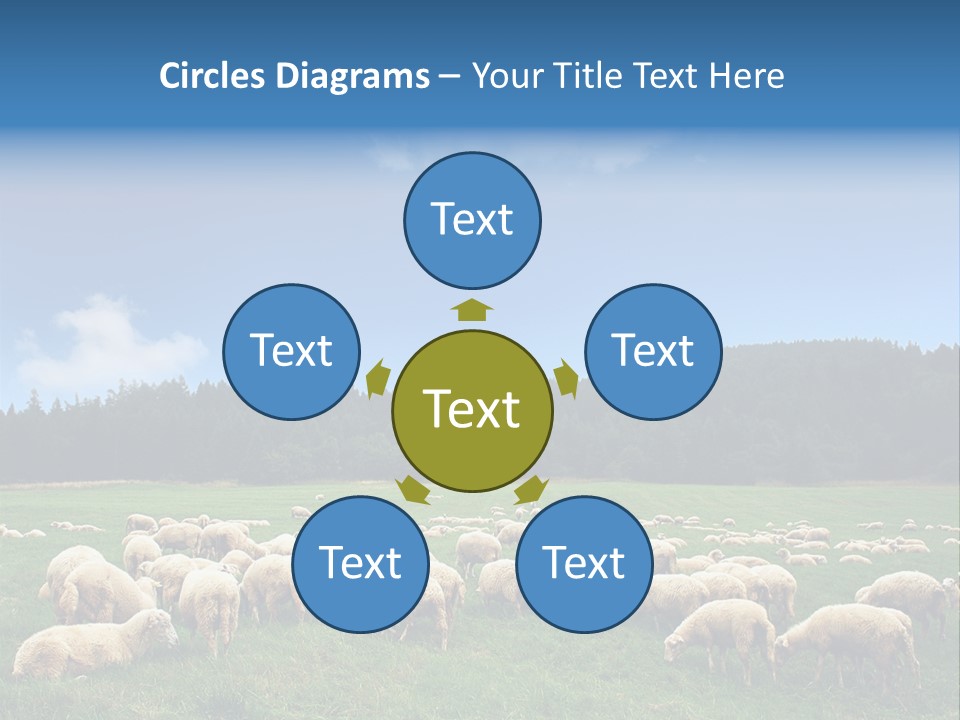 A Herd Of Sheep Grazing On A Lush Green Field PowerPoint Template