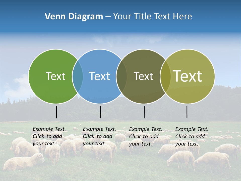 A Herd Of Sheep Grazing On A Lush Green Field PowerPoint Template