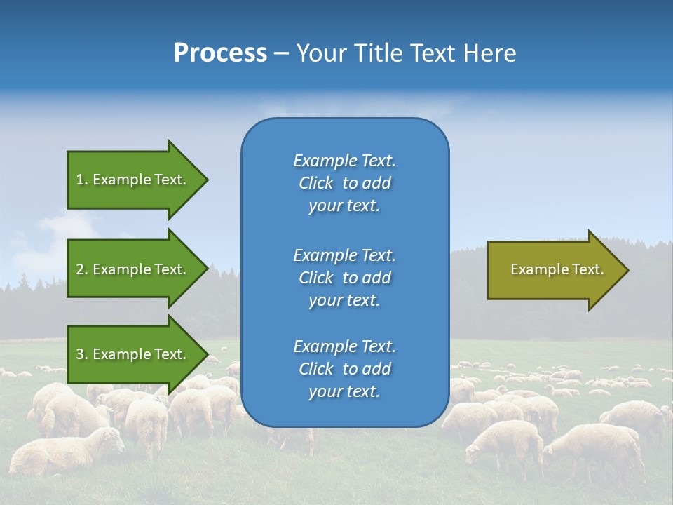 A Herd Of Sheep Grazing On A Lush Green Field PowerPoint Template