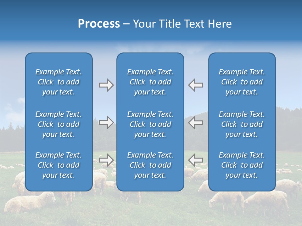 A Herd Of Sheep Grazing On A Lush Green Field PowerPoint Template