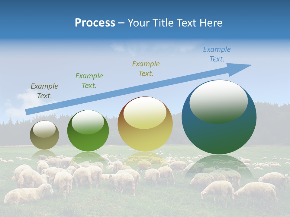 A Herd Of Sheep Grazing On A Lush Green Field PowerPoint Template