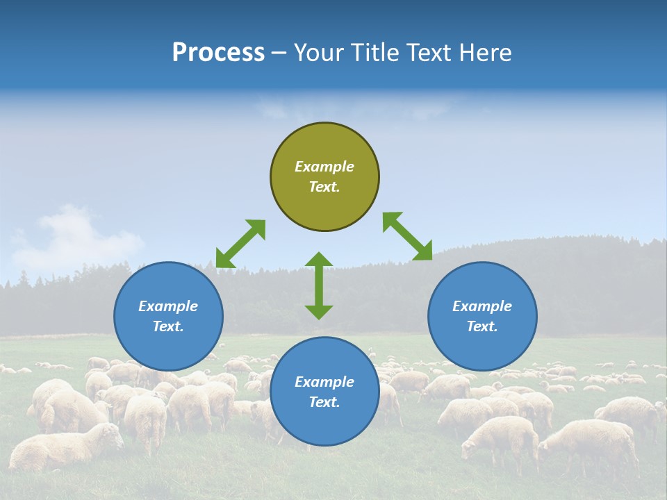A Herd Of Sheep Grazing On A Lush Green Field PowerPoint Template