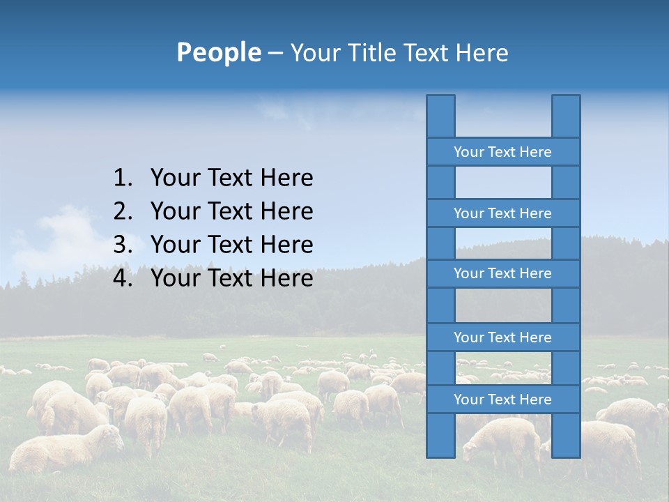 A Herd Of Sheep Grazing On A Lush Green Field PowerPoint Template