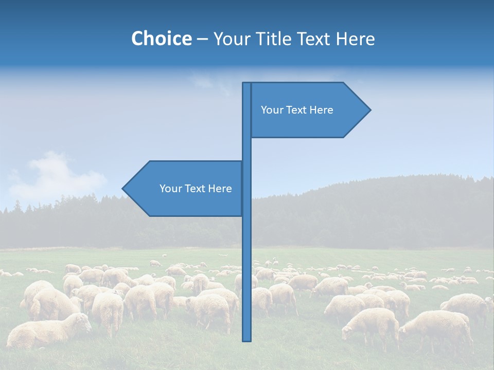 A Herd Of Sheep Grazing On A Lush Green Field PowerPoint Template