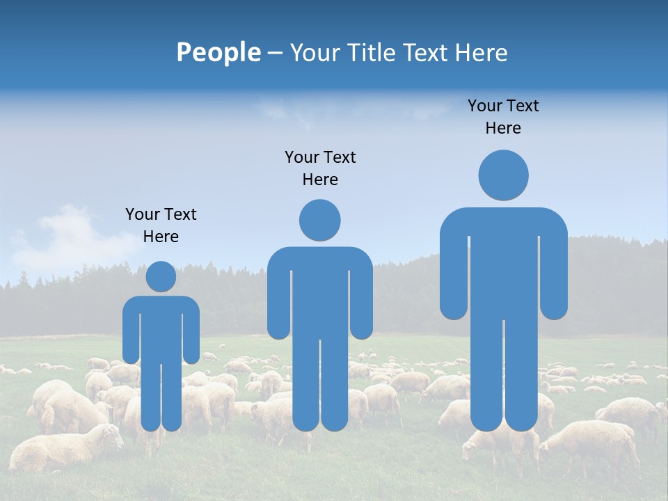A Herd Of Sheep Grazing On A Lush Green Field PowerPoint Template