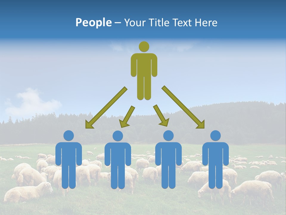 A Herd Of Sheep Grazing On A Lush Green Field PowerPoint Template