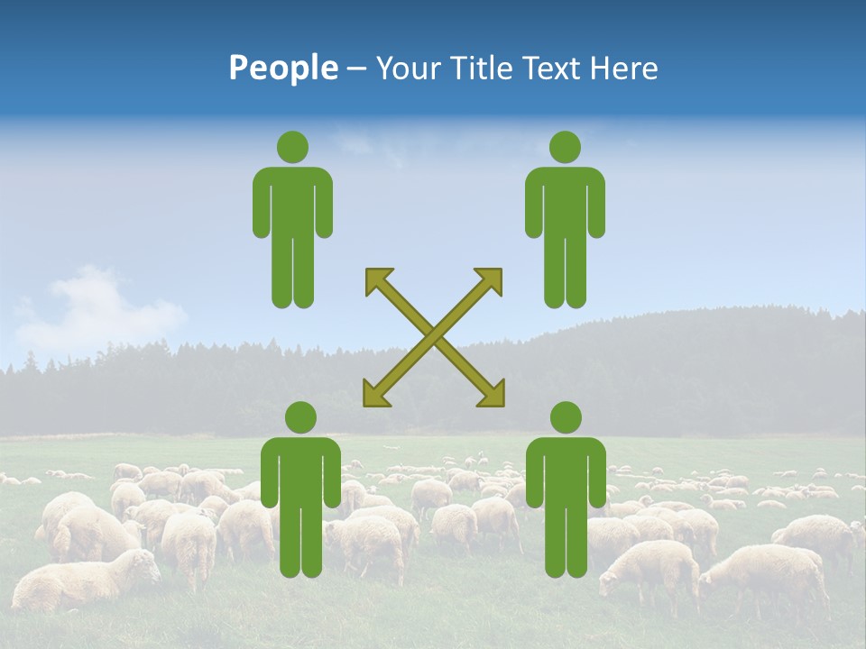 A Herd Of Sheep Grazing On A Lush Green Field PowerPoint Template