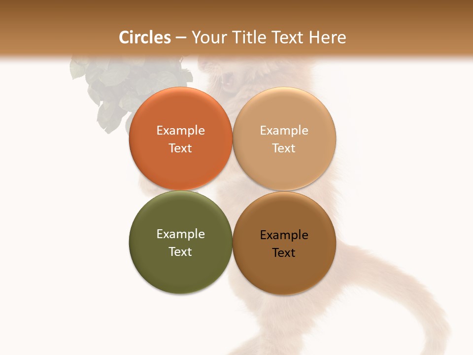 An Orange Kitten Holding A Bunch Of Red Roses PowerPoint Template