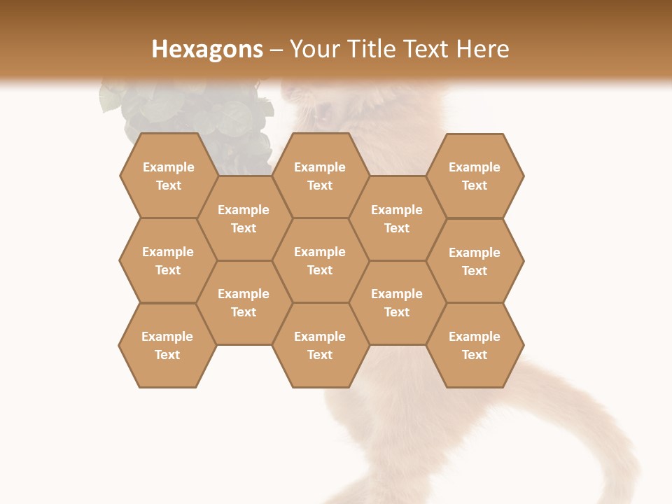 An Orange Kitten Holding A Bunch Of Red Roses PowerPoint Template