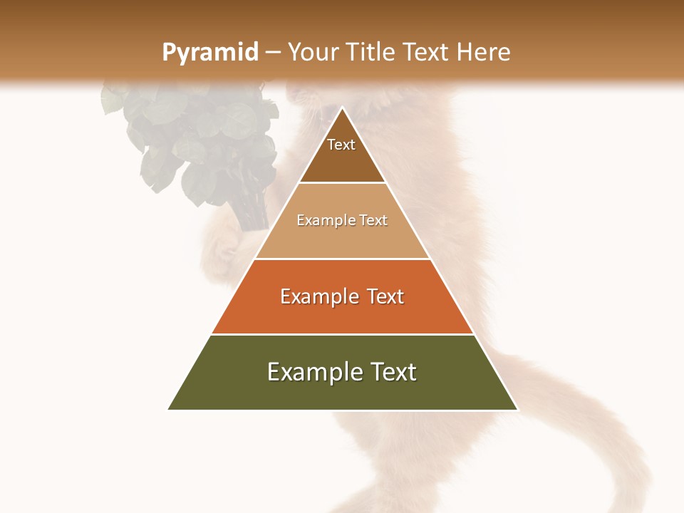 An Orange Kitten Holding A Bunch Of Red Roses PowerPoint Template