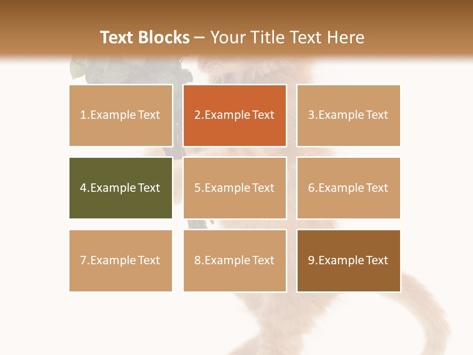 An Orange Kitten Holding A Bunch Of Red Roses PowerPoint Template