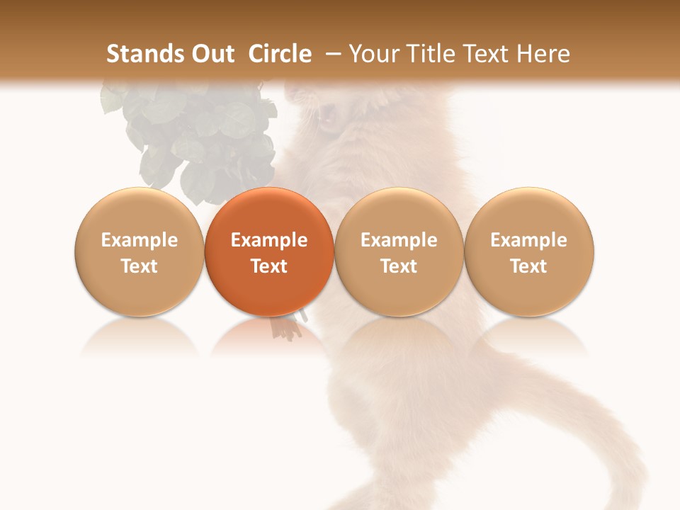 An Orange Kitten Holding A Bunch Of Red Roses PowerPoint Template