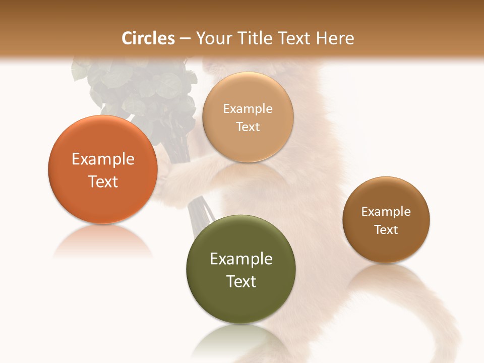 An Orange Kitten Holding A Bunch Of Red Roses PowerPoint Template