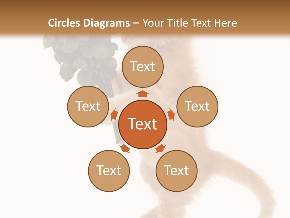 An Orange Kitten Holding A Bunch Of Red Roses PowerPoint Template