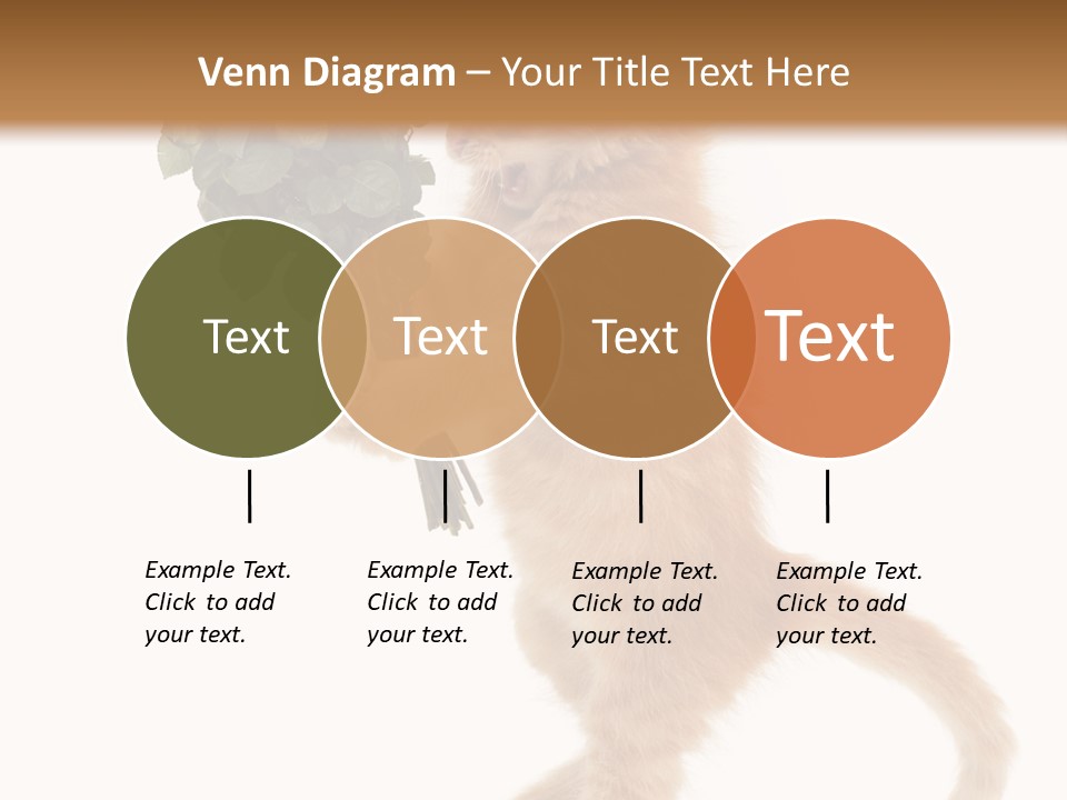 An Orange Kitten Holding A Bunch Of Red Roses PowerPoint Template