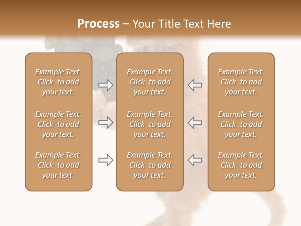An Orange Kitten Holding A Bunch Of Red Roses PowerPoint Template