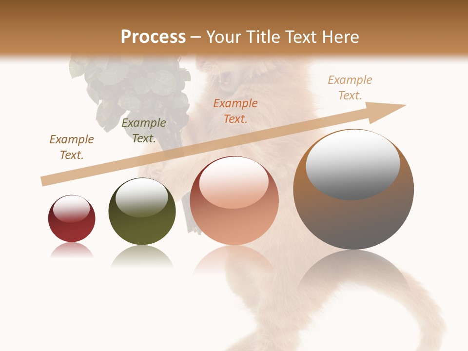 An Orange Kitten Holding A Bunch Of Red Roses PowerPoint Template