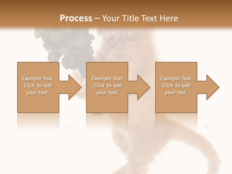 An Orange Kitten Holding A Bunch Of Red Roses PowerPoint Template