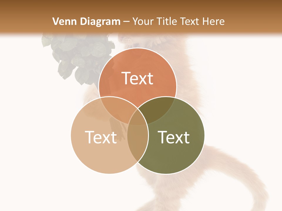 An Orange Kitten Holding A Bunch Of Red Roses PowerPoint Template