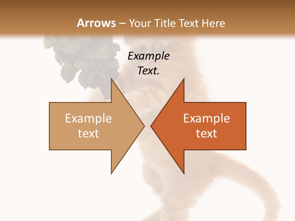 An Orange Kitten Holding A Bunch Of Red Roses PowerPoint Template