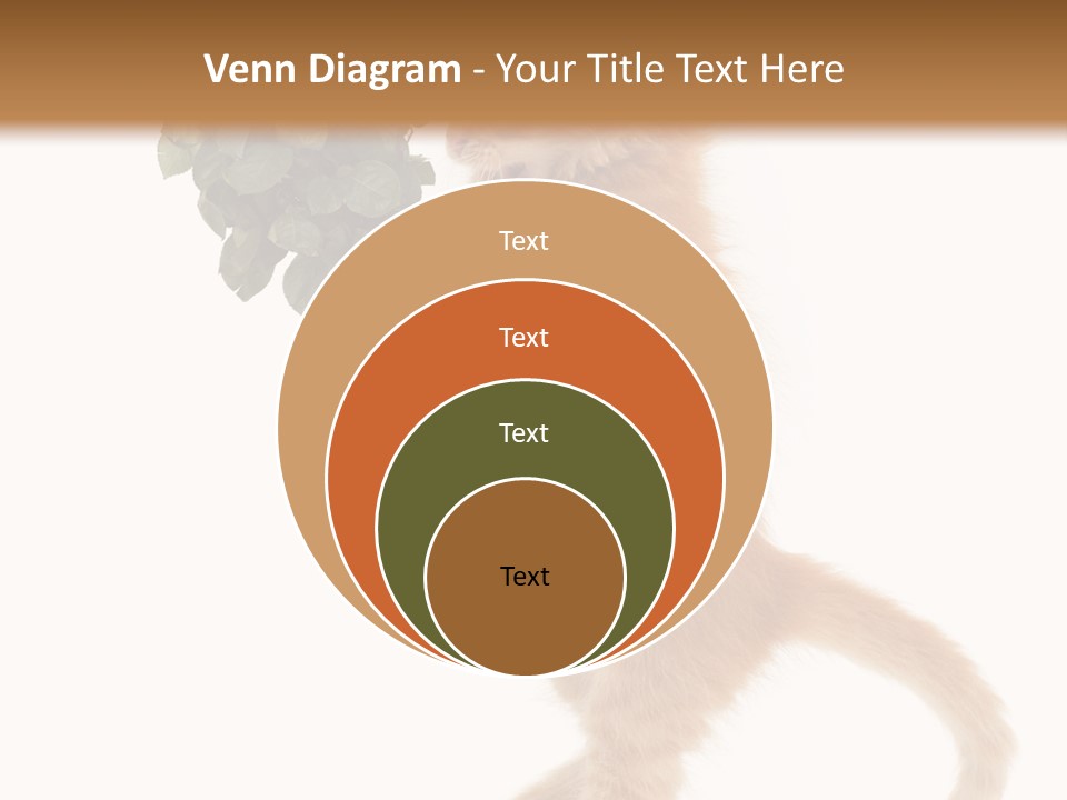 An Orange Kitten Holding A Bunch Of Red Roses PowerPoint Template