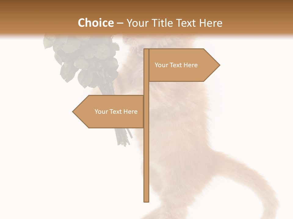An Orange Kitten Holding A Bunch Of Red Roses PowerPoint Template