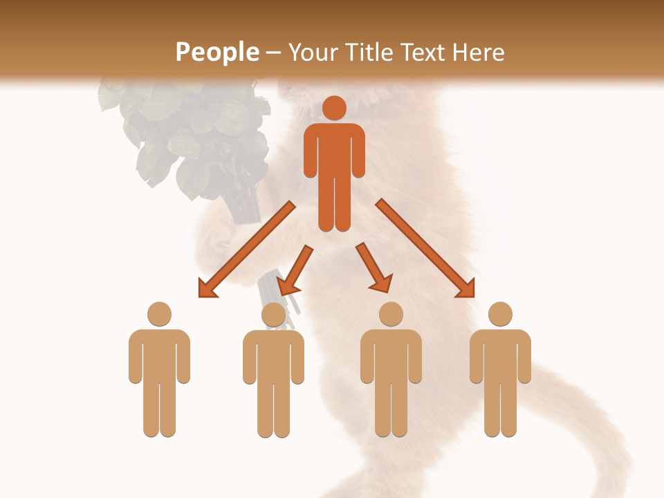 An Orange Kitten Holding A Bunch Of Red Roses PowerPoint Template