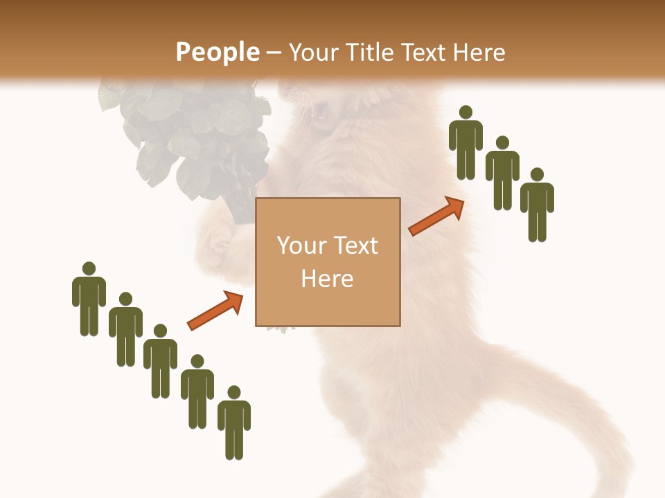 An Orange Kitten Holding A Bunch Of Red Roses PowerPoint Template