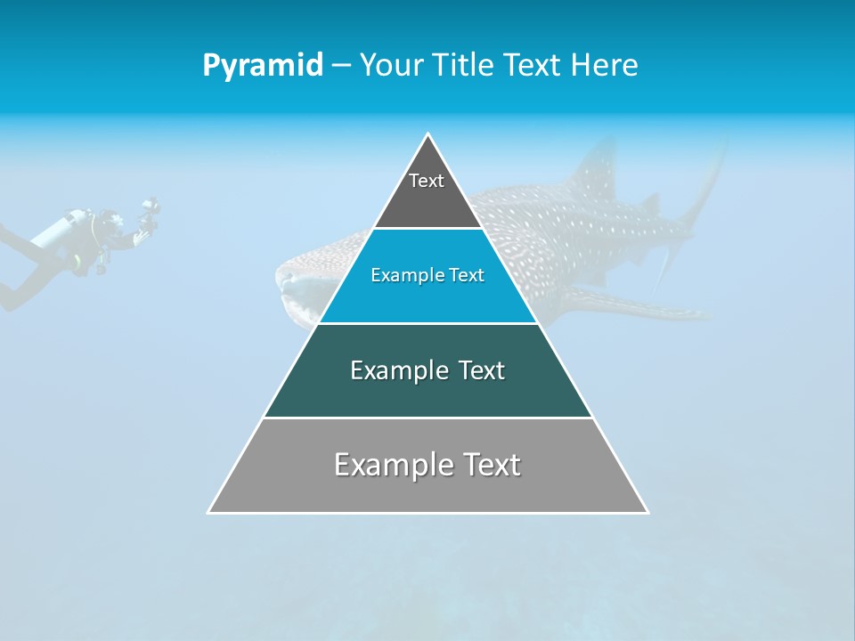 Sea Whale Blue PowerPoint Template