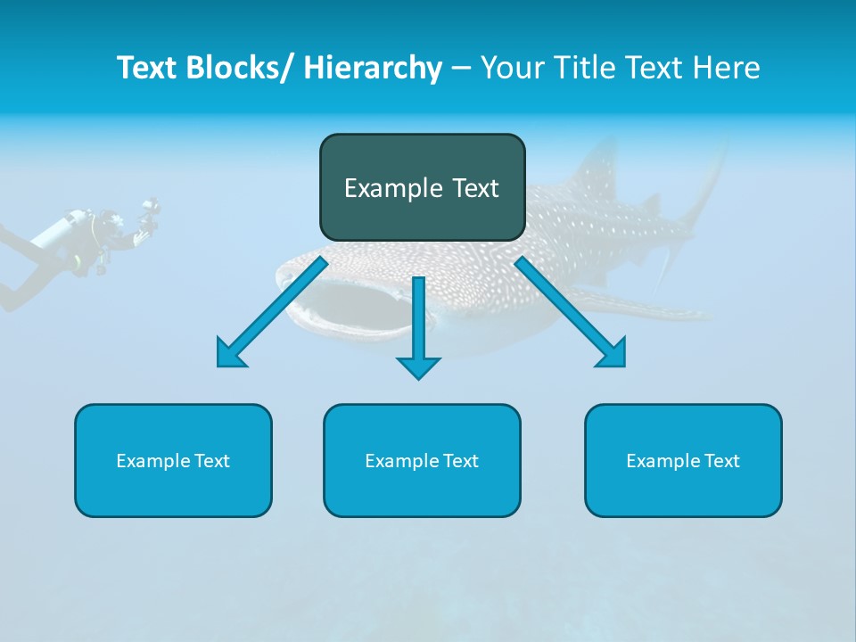 Sea Whale Blue PowerPoint Template