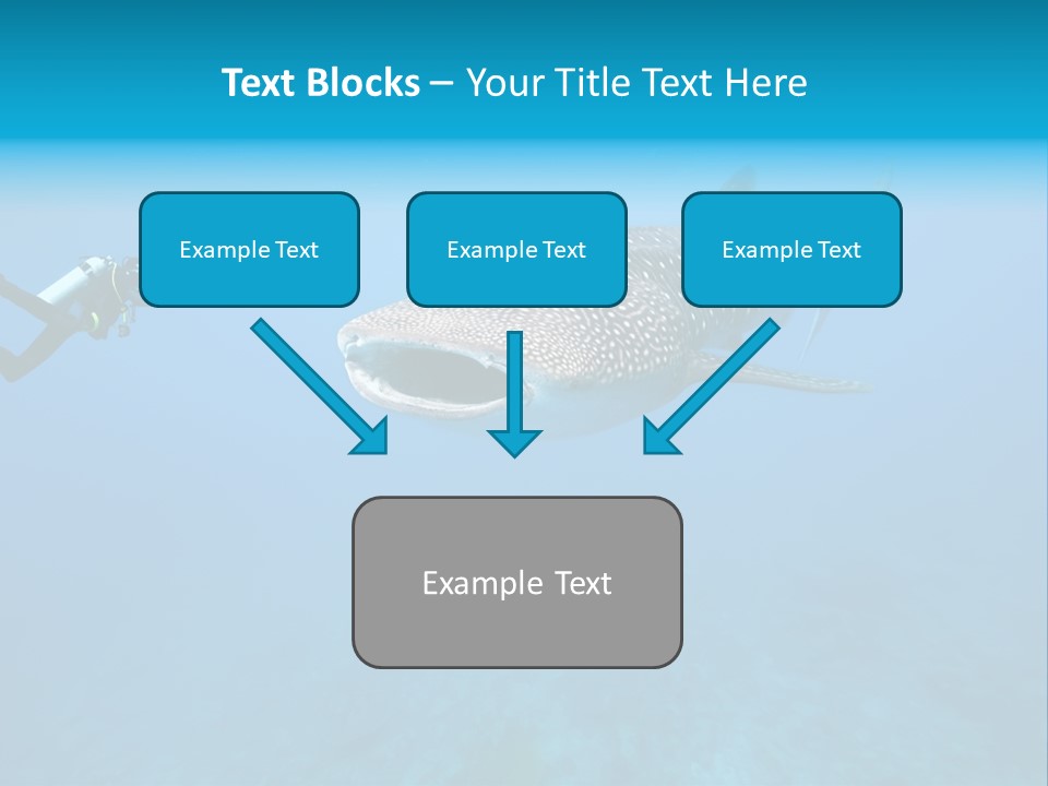 Sea Whale Blue PowerPoint Template