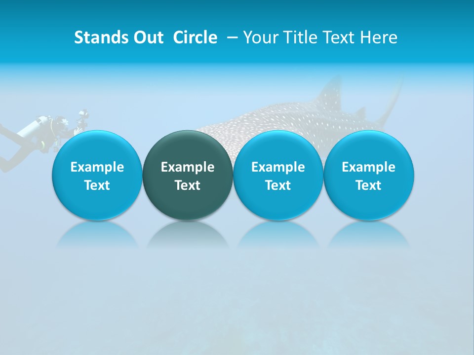 Sea Whale Blue PowerPoint Template