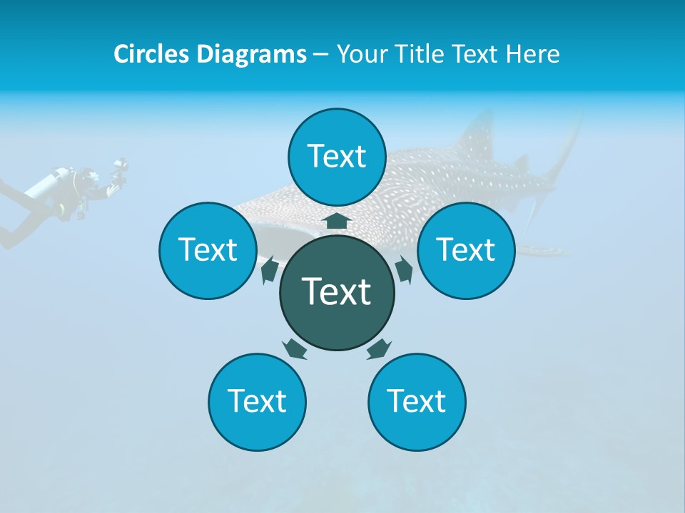 Sea Whale Blue PowerPoint Template