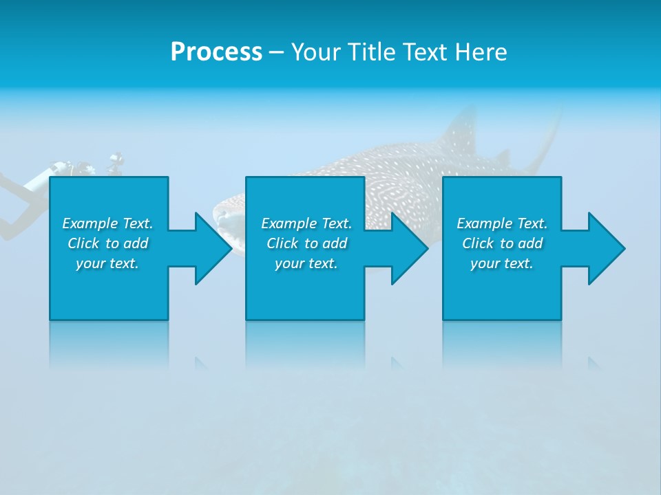 Sea Whale Blue PowerPoint Template