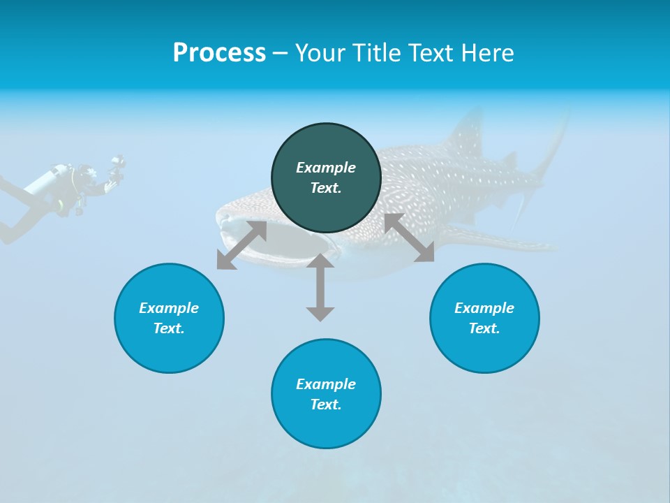 Sea Whale Blue PowerPoint Template