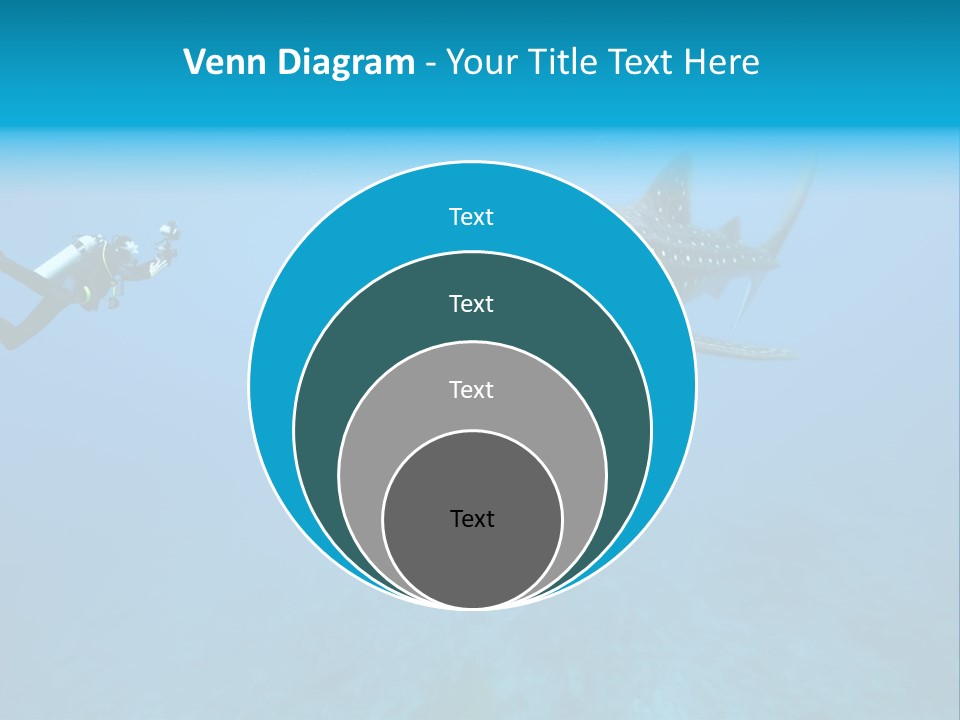 Sea Whale Blue PowerPoint Template