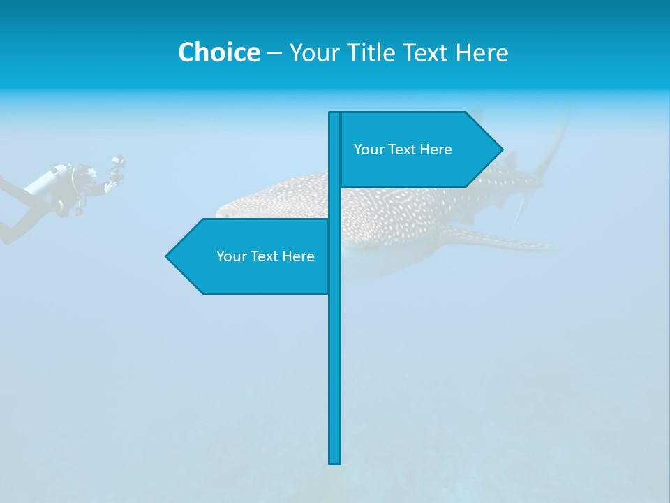 Sea Whale Blue PowerPoint Template