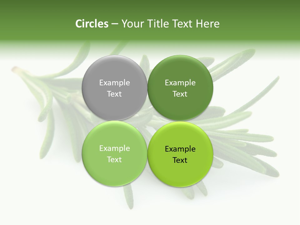 Spice Medicine Drinks PowerPoint Template