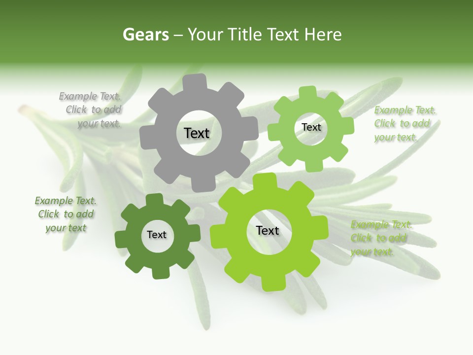 Spice Medicine Drinks PowerPoint Template