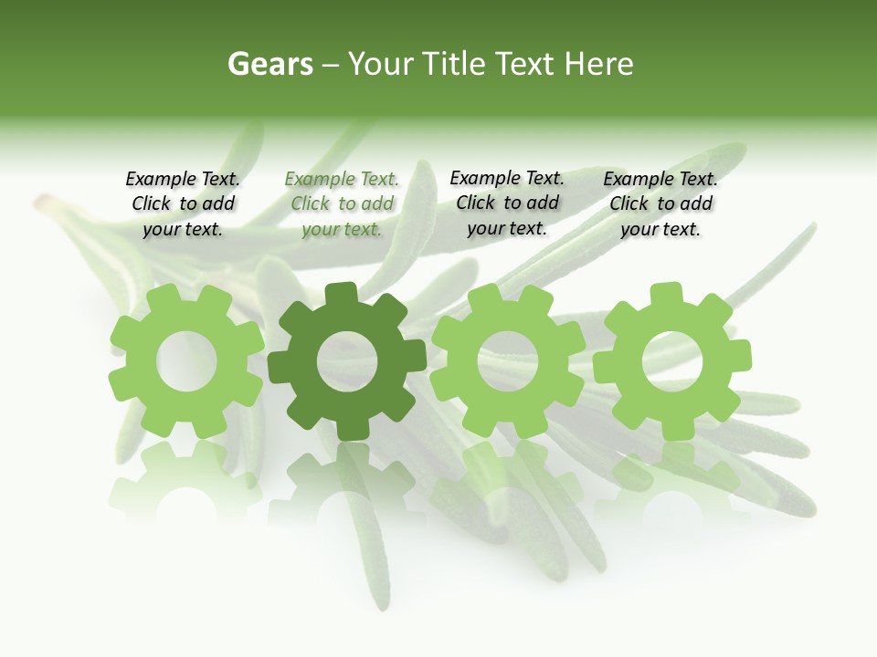 Spice Medicine Drinks PowerPoint Template