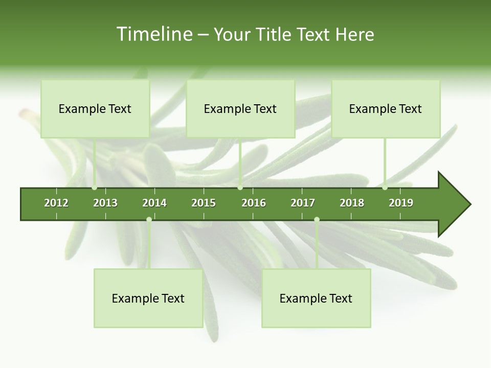 Spice Medicine Drinks PowerPoint Template