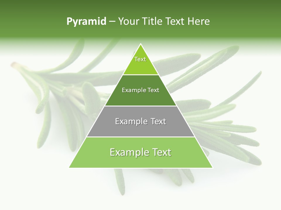 Spice Medicine Drinks PowerPoint Template