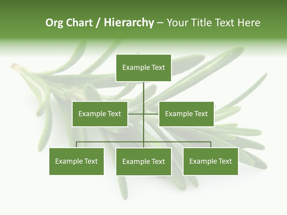 Spice Medicine Drinks PowerPoint Template