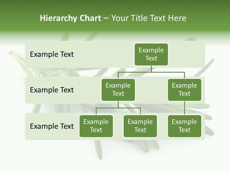 Spice Medicine Drinks PowerPoint Template