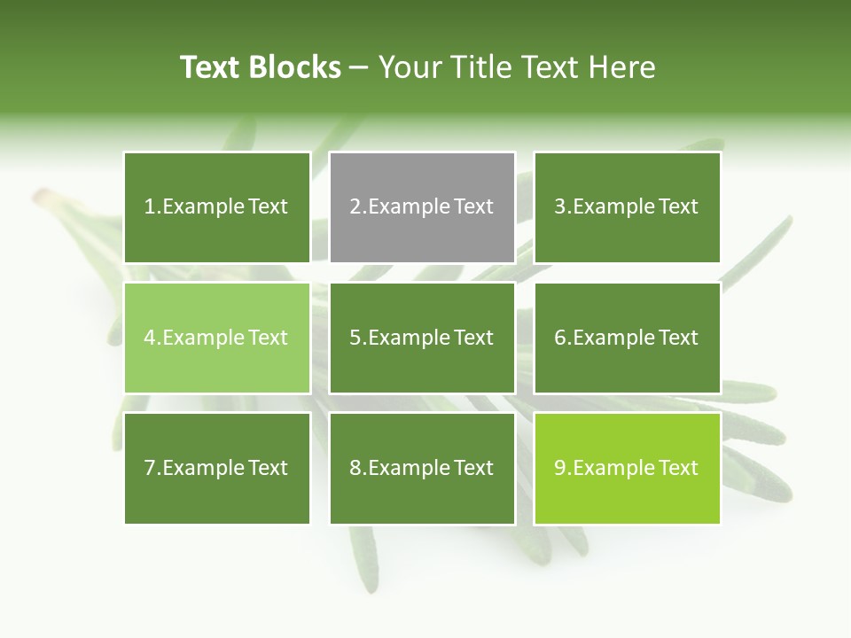 Spice Medicine Drinks PowerPoint Template