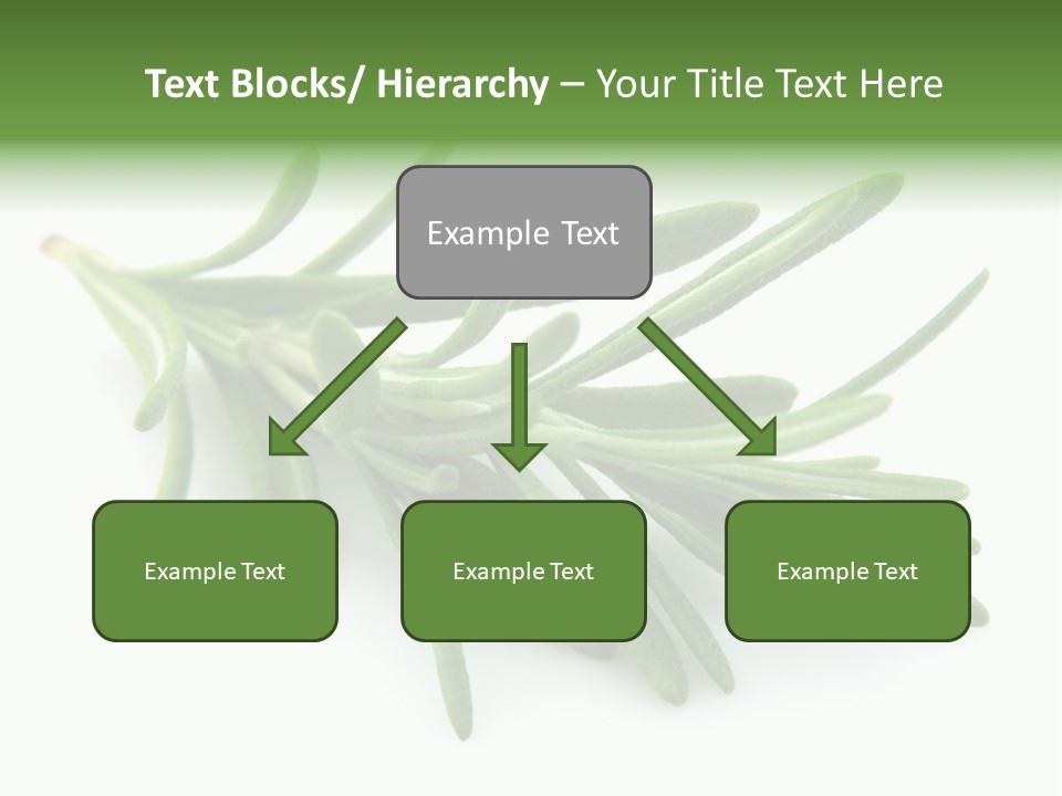 Spice Medicine Drinks PowerPoint Template
